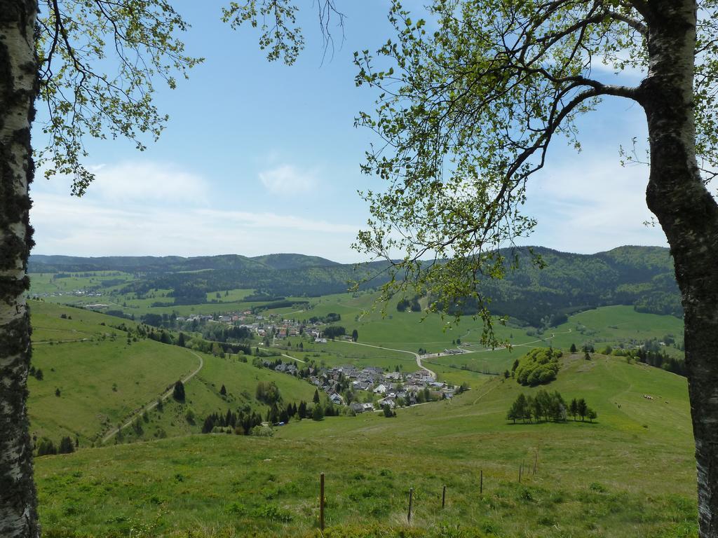 Wohnpark Schwarzwaldblick Bernau 아파트 외부 사진