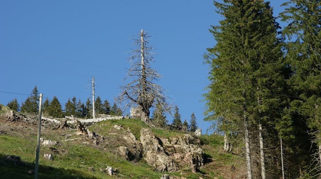 Wohnpark Schwarzwaldblick Bernau 아파트 객실 사진